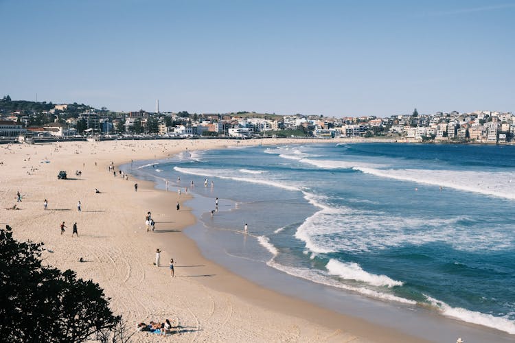 Bondi Beach In Australia