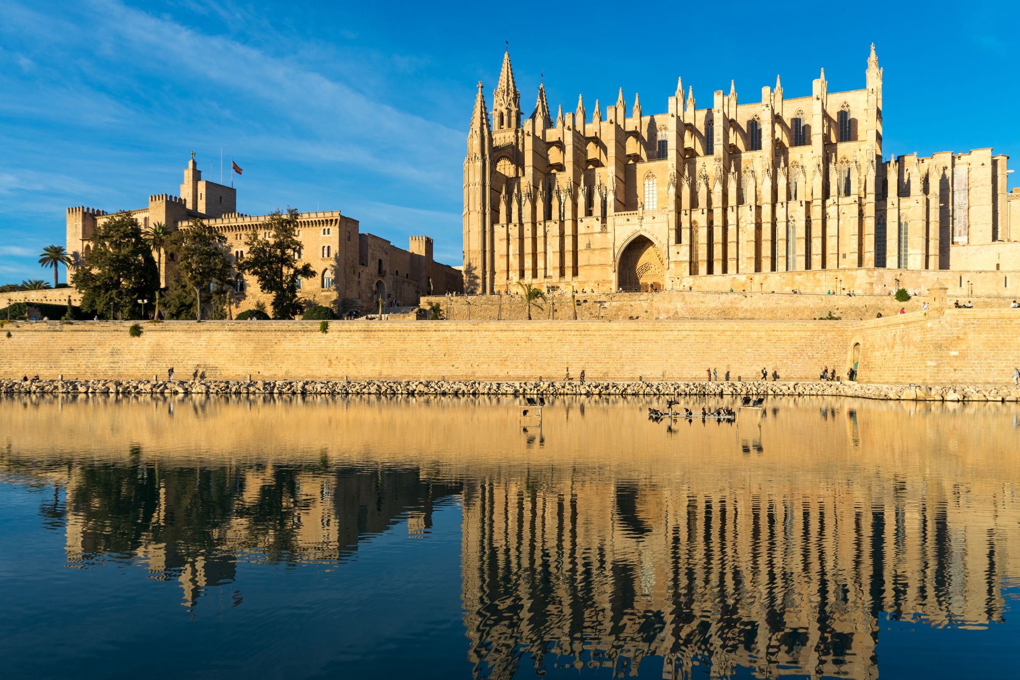 La Seu cathedral reflected in the water, Palma de Mallorca