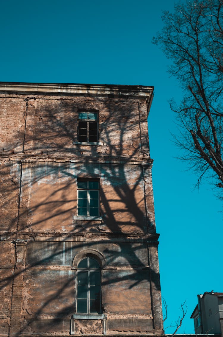 Tree Casting Shadow On Building