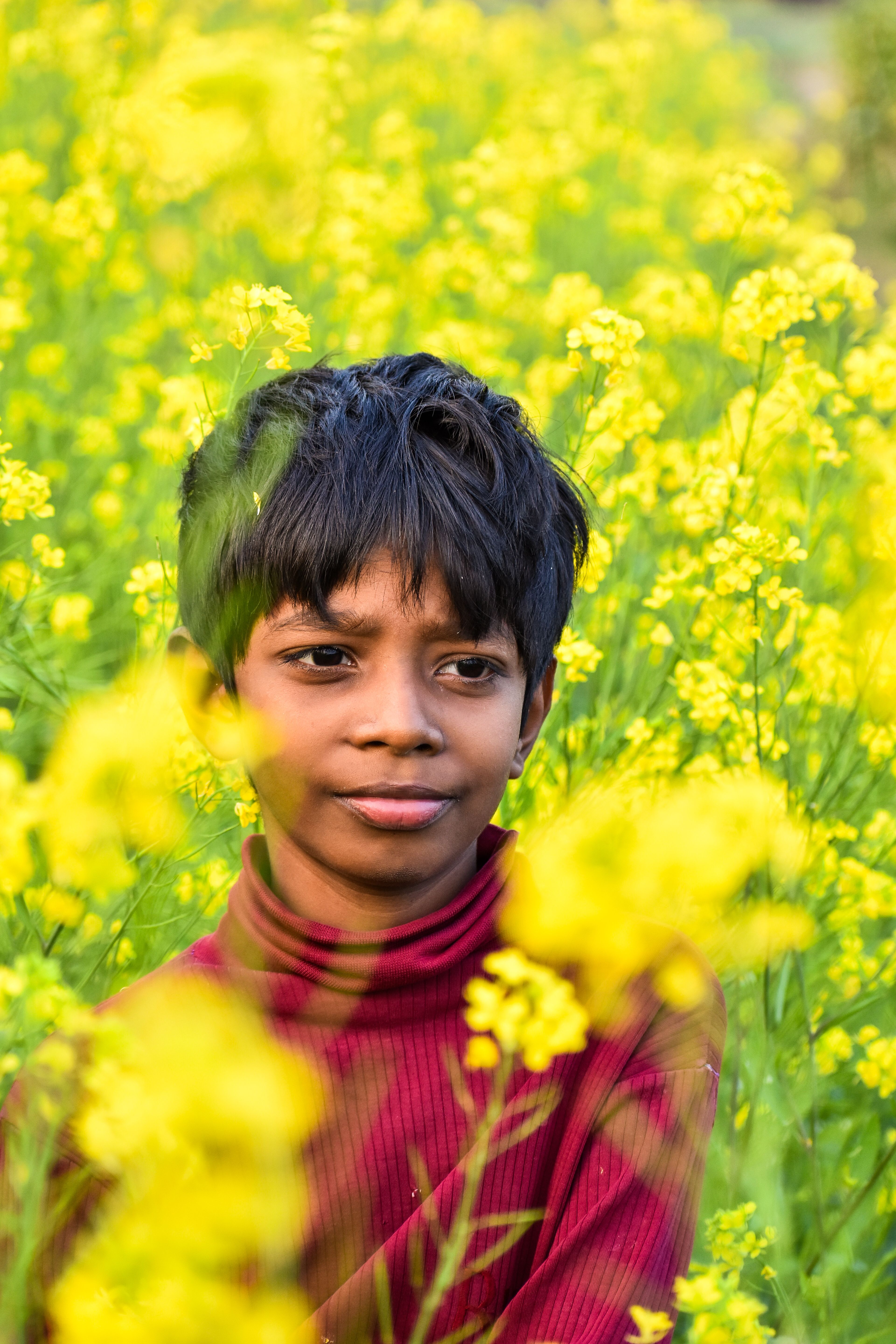 Photo of a Little Boy on a Flower Field · Free Stock Photo