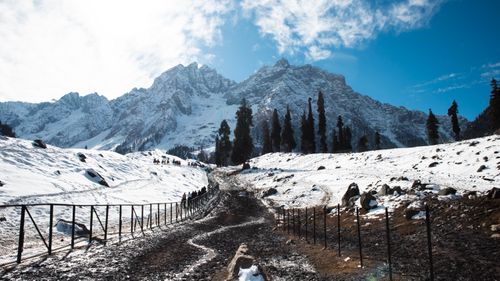 Free A scenic view of a snowy mountain landscape with horseback riders on a dirt road. Stock Photo
