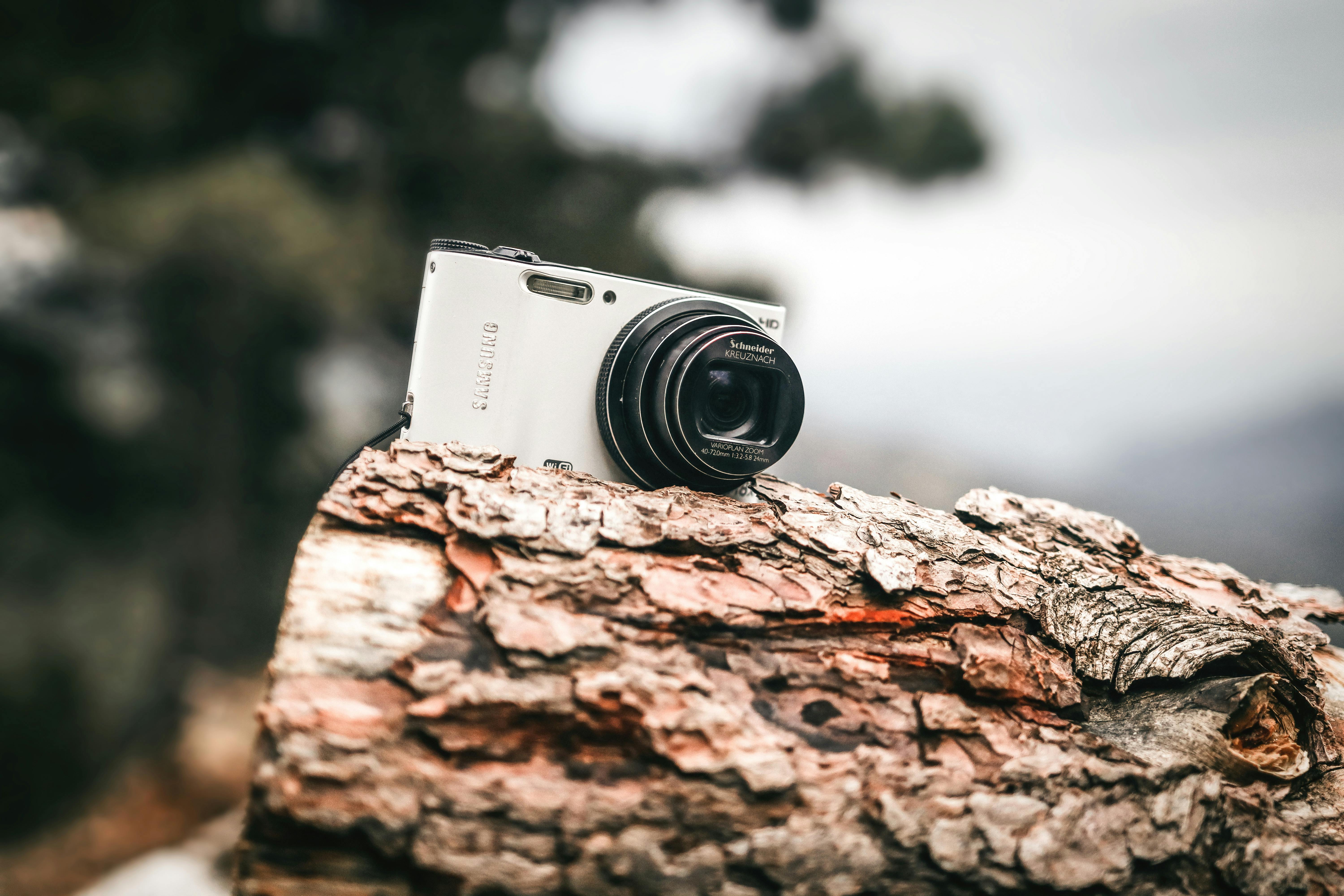 Digital Cameras For Beginners