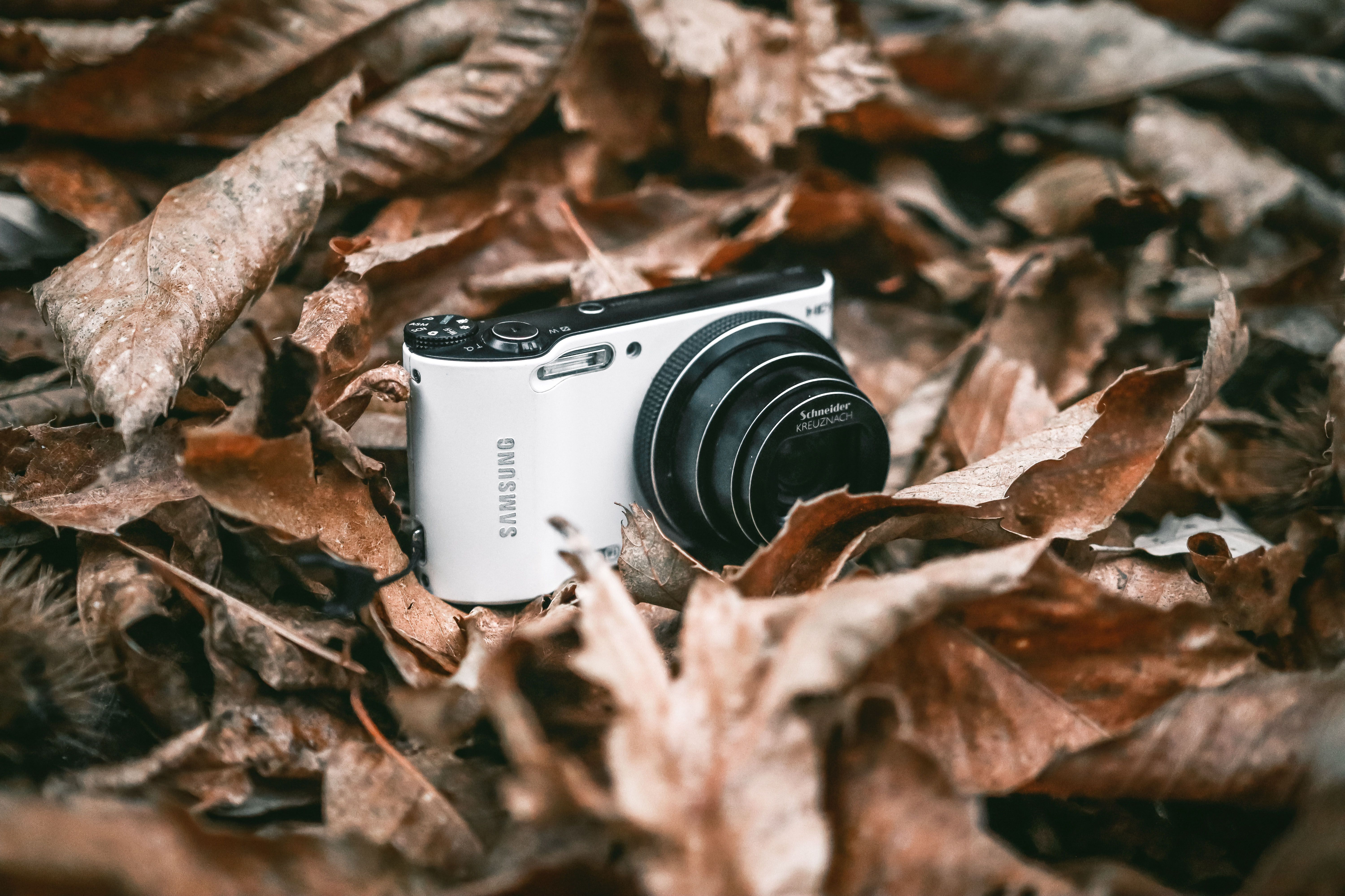 A compact camera nestled among dry autumn leaves, highlighting fall's beauty.