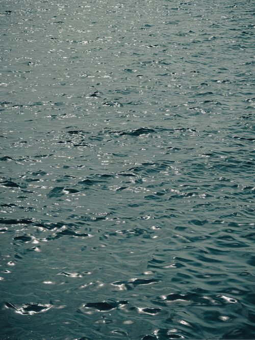 Free Tranquil image capturing the serene surface of blue water with gentle waves, perfect for relaxation themes. Stock Photo