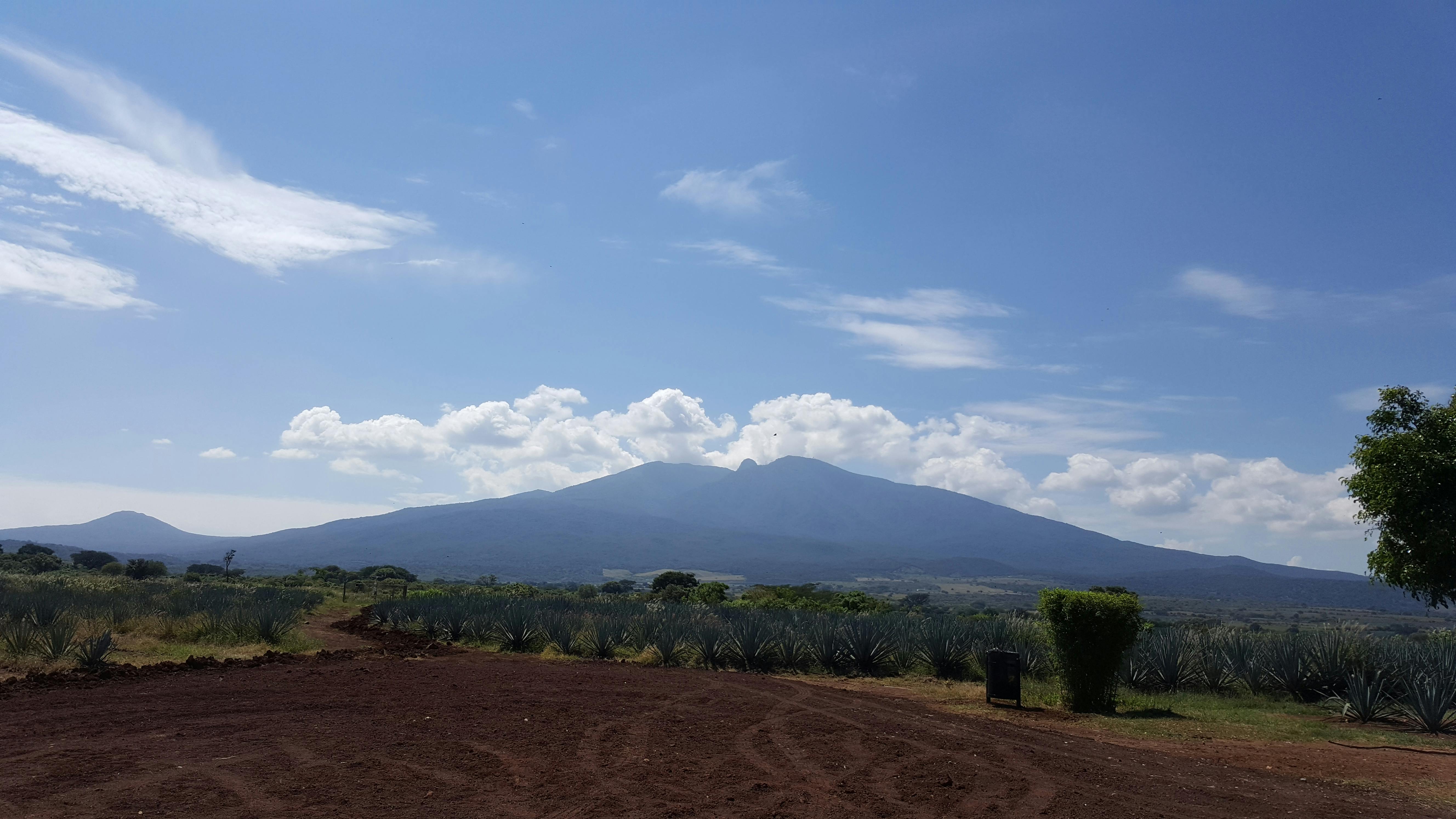 Free stock photo of sky, tequila, volcano