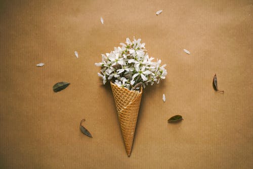 冰淇淋甜筒, 廠, 花 的 免費圖庫相片