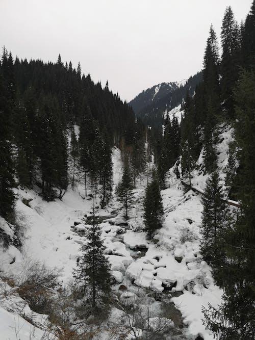 Fotobanka s bezplatnými fotkami na tému chladný, hory, krajina