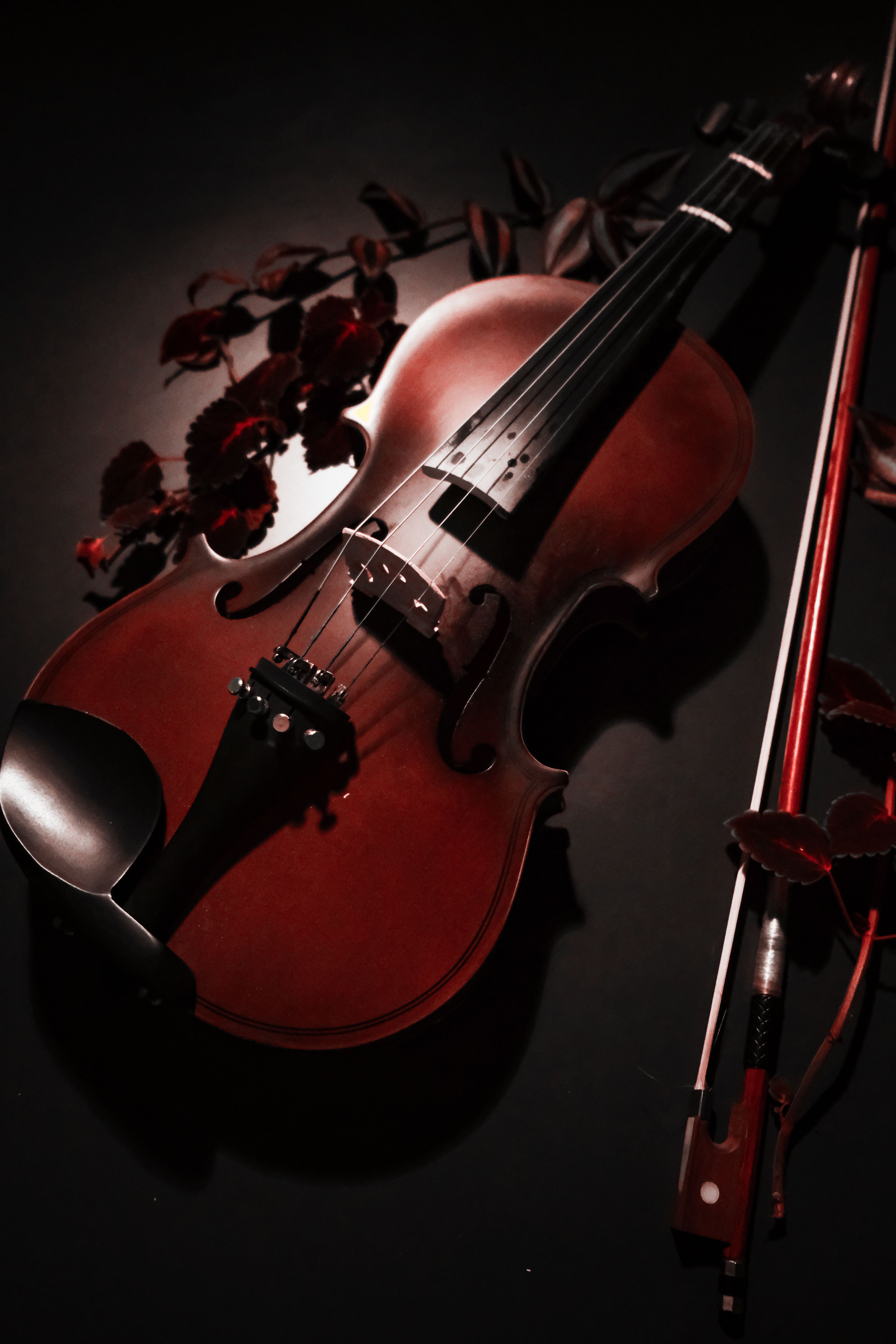 Close-up of a violin and bow surrounded by dark leaves, capturing a moody musical ambiance.