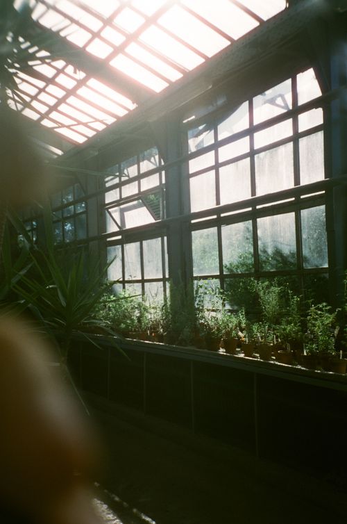 Free A sunlit greenhouse interior featuring potted plants on a ledge under large windows. Stock Photo