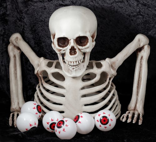 Foto d'estoc gratuïta de decoracions de halloween, esfereïdor, esquelet