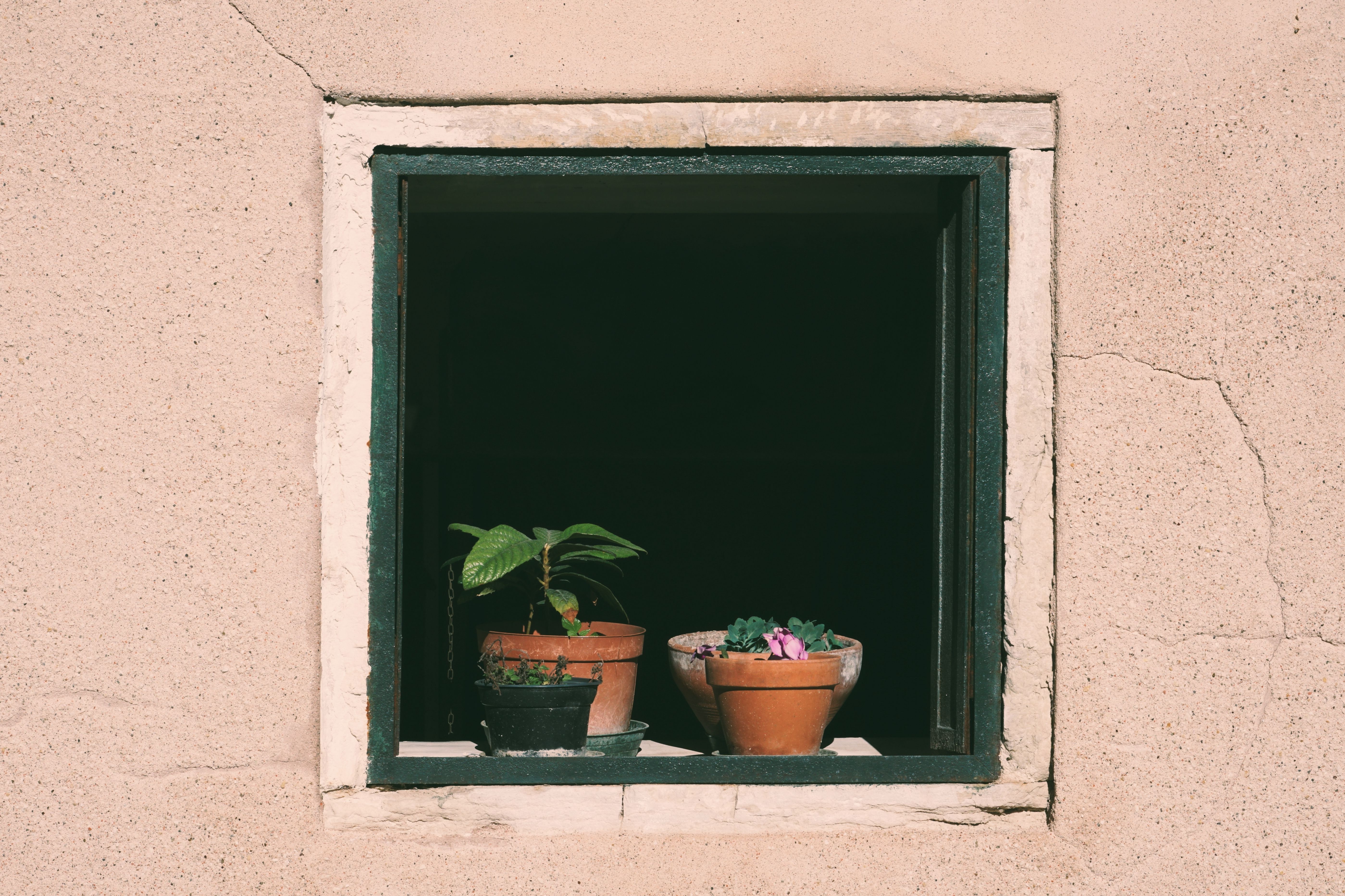 Aesthetic shot of potted plants on a sunlit window sill, perfect for home decor inspiration.