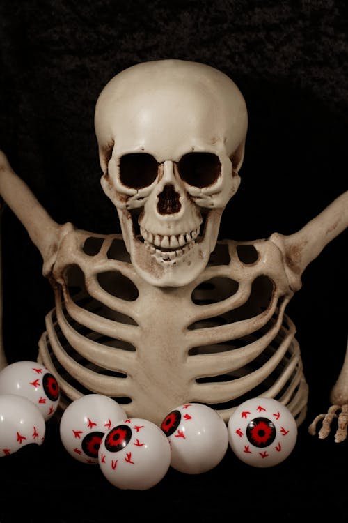 Бесплатное стоковое фото с глазные яблоки, жуткий, пластиковый скелет