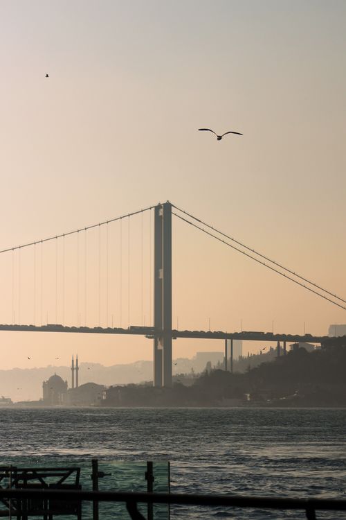 Free Serene view of Istanbul with the Bosphorus Bridge at dawn, featuring seagulls in flight. Stock Photo