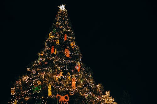 A Christmas Tree at Night