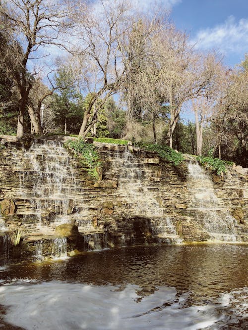 Waterfalls on Rocks under Trees