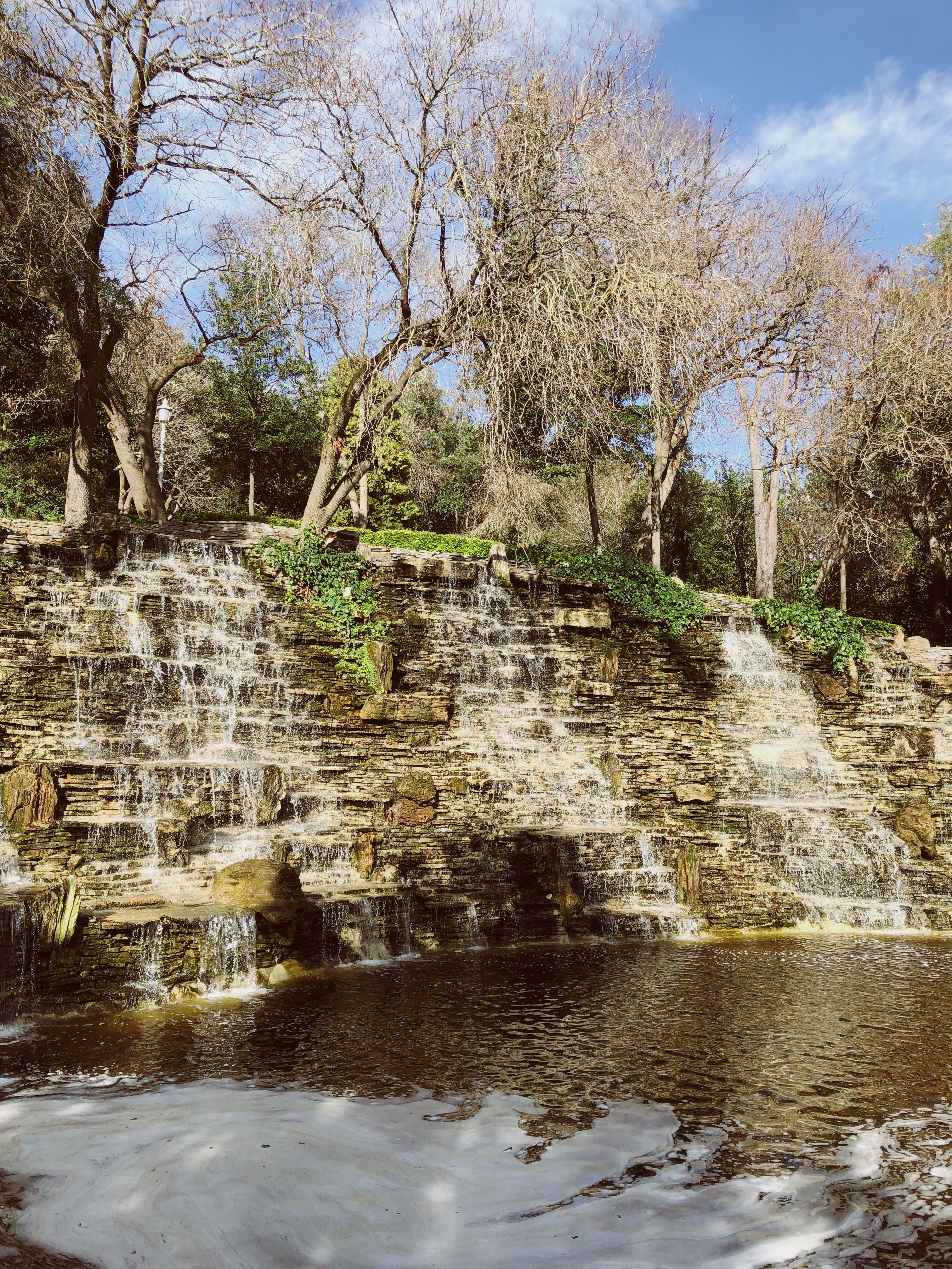Waterfalls on Rocks under Trees · Free Stock Photo