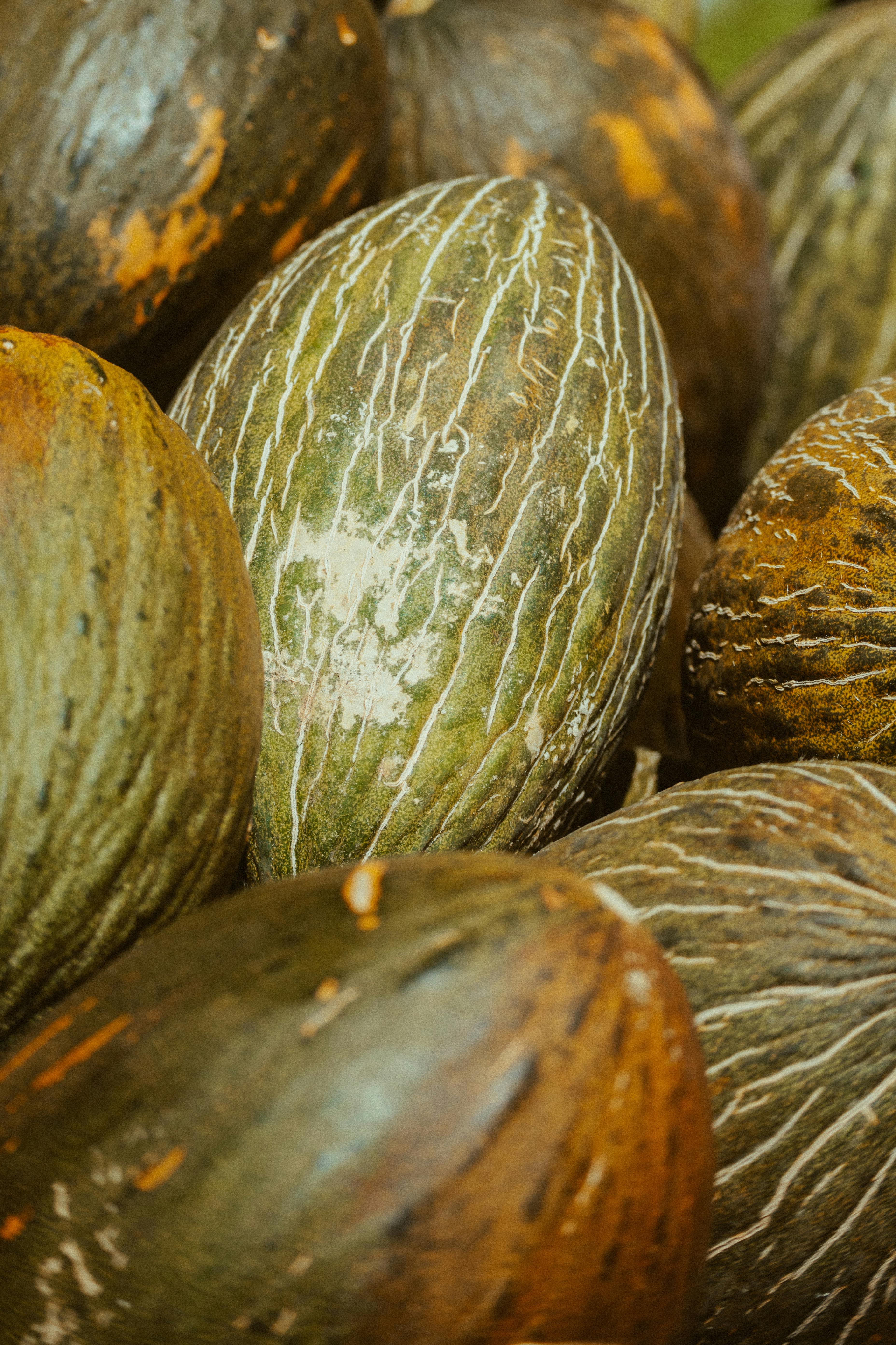 Pile of Ripe Greenish Brown Melons · Free Stock Photo