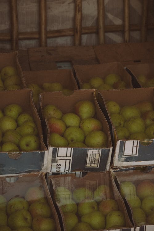 Fotos de stock gratuitas de abundancia, cajas, de cerca