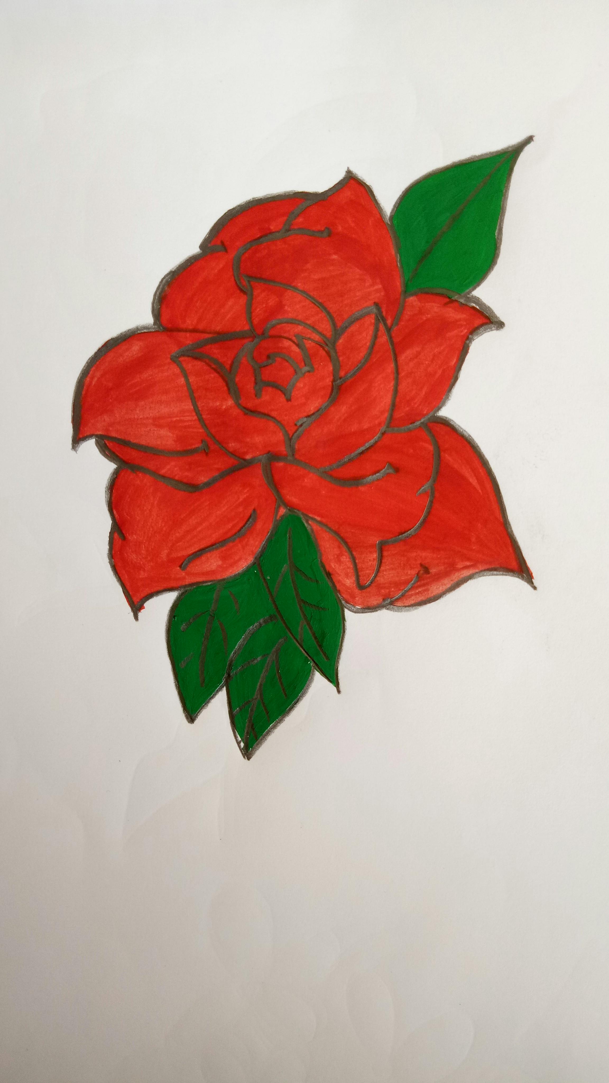 Free stock photo of painting rose my me