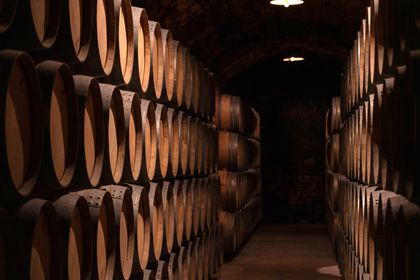 A dimly lit cellar filled with resting casks — photo by Ramon Perucho on Pexels