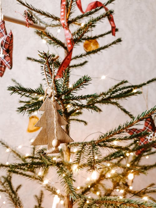 クリスマスツリー, クリスマスボール, ぶら下がりの無料の写真素材