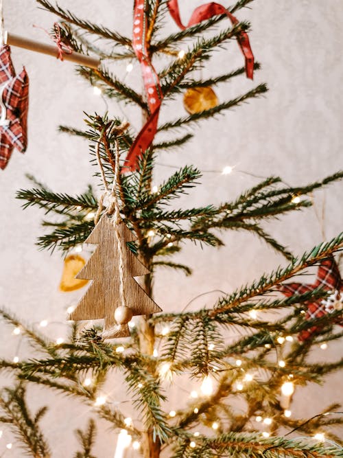 Foto profissional grátis de árvore de Natal, bola de Natal, de madeira