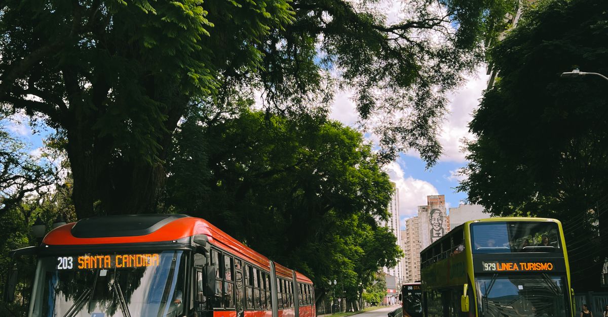 Ônibus em rua arborizada em Curitiba, ilustrando transporte urbano e possibilidades de seguro para veículos de turismo.