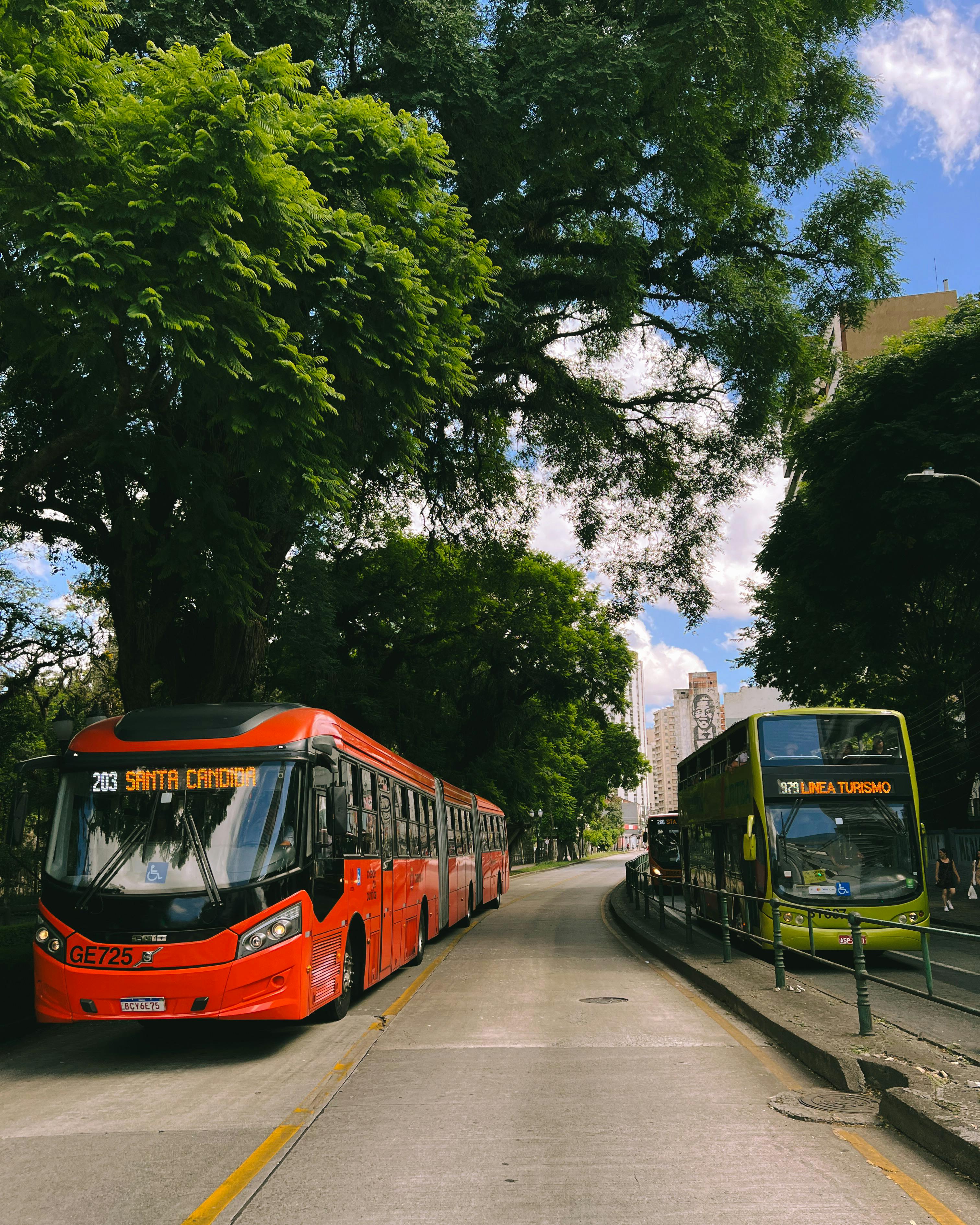 City Buses in Curitiba, Brazil · Free Stock Photo