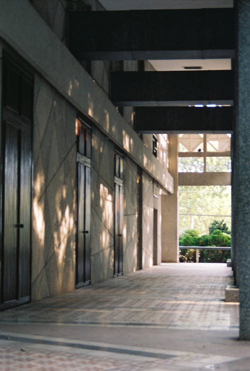 Pavement near Doors on Building Wall