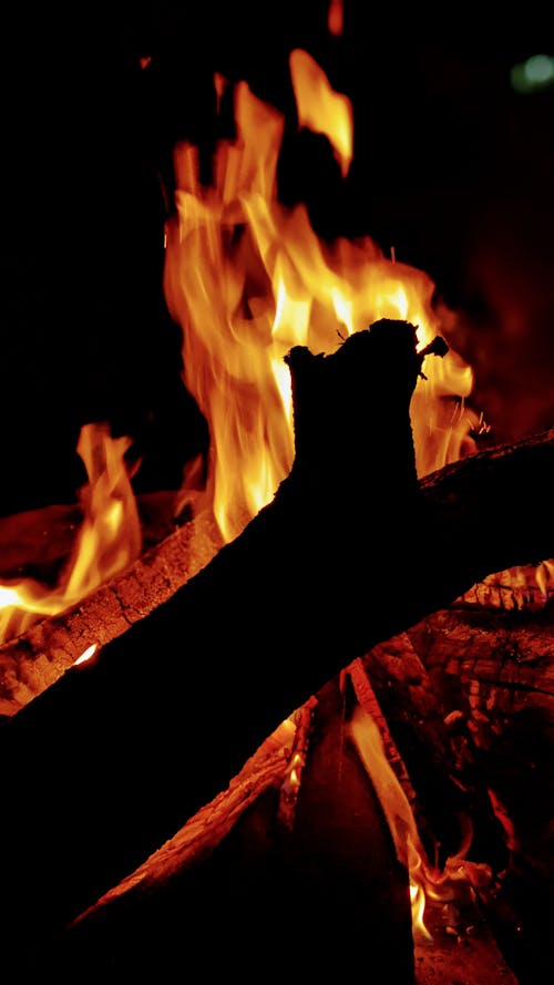 Close-up of Wood Burning in a Bonfire