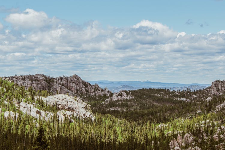 Landscape Of Rocky Mountains And Trees 