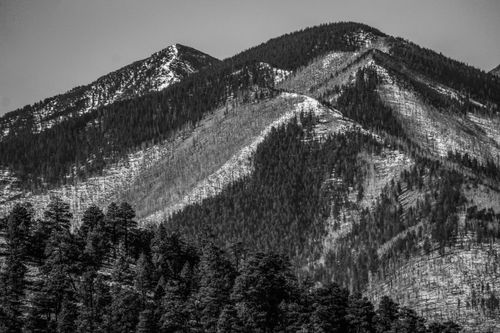 Free Black and white photo of a scenic, forested mountain range with snowy peaks. Stock Photo