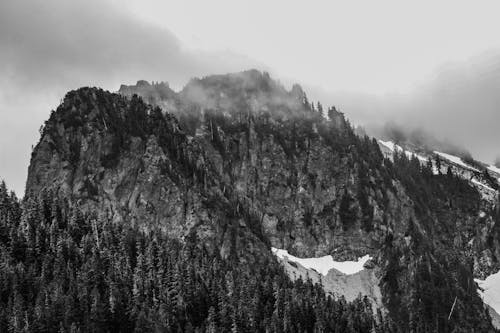 Free View of a High Rocky Mountain Covered with Trees Stock Photo