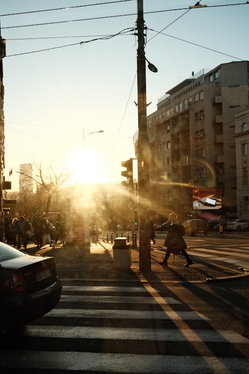 View of a Crosswalk and Buildings in City in Sunlight 