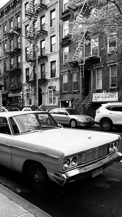 Základová fotografie zdarma na téma auta, budova, černobílý