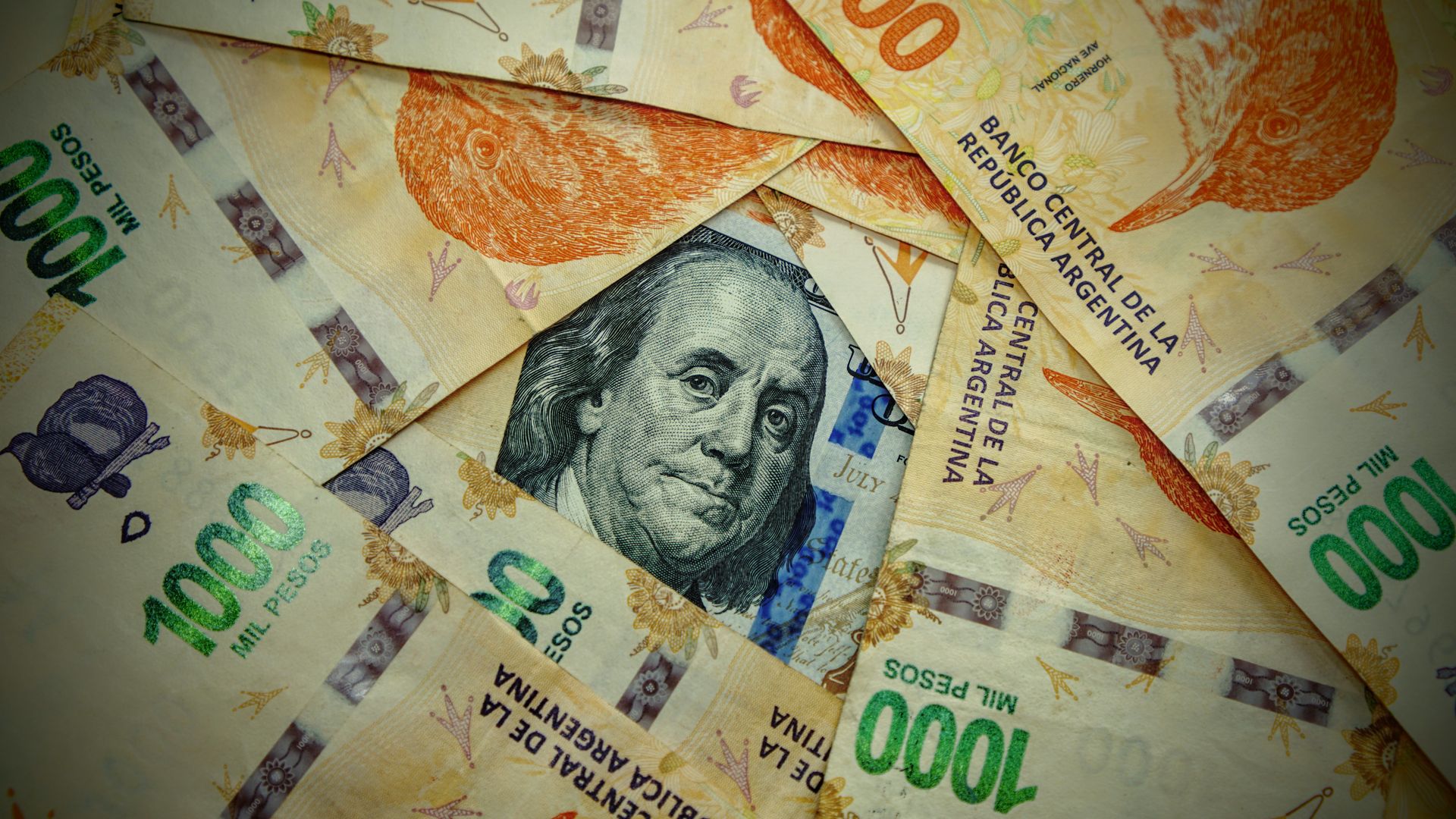 A detailed close-up of Argentinian pesos and a US dollar, showcasing currency contrast — financial system inquiry