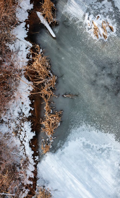 Top View of Frozen Water and Dry Grass 