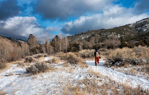 Back View of a Man Walking on a Trail in Mountains 