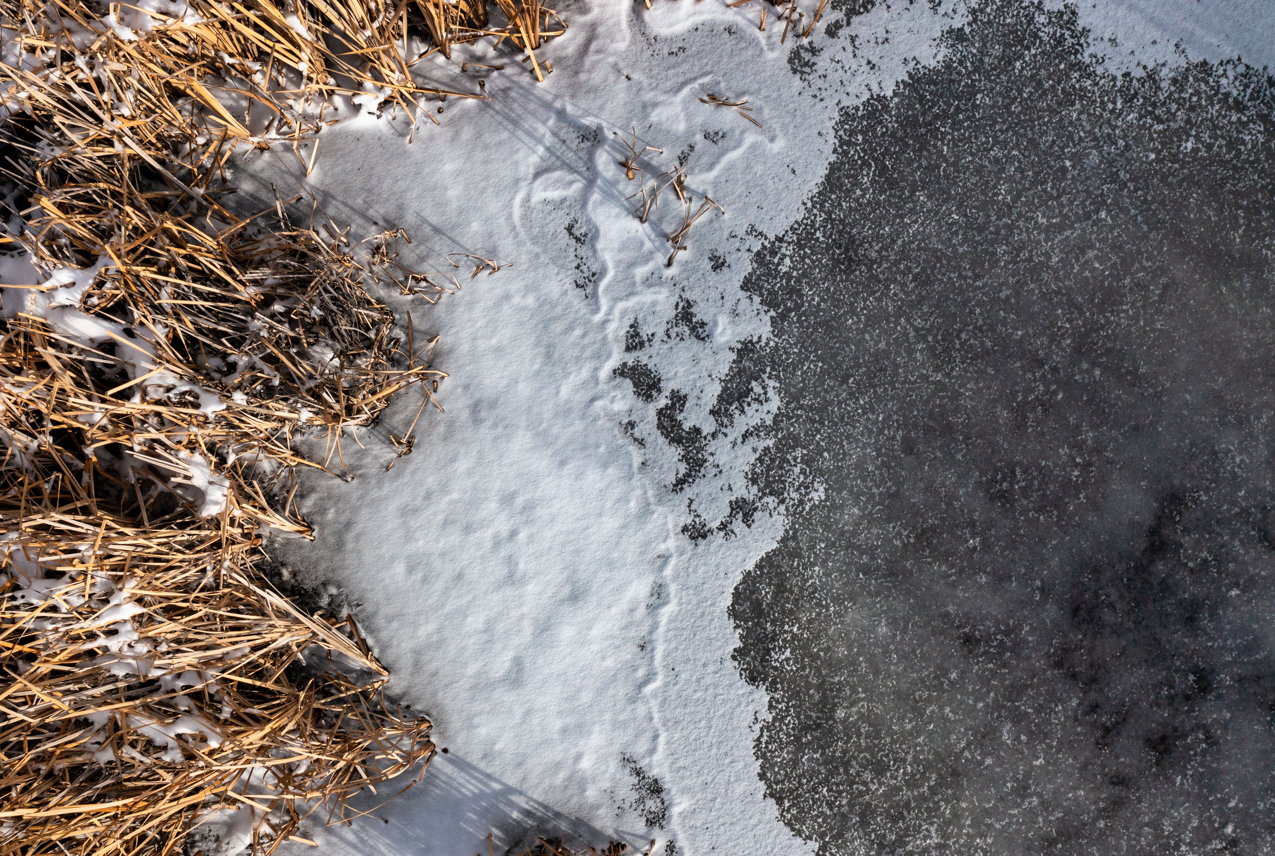 Snow Angles Photos Download The Best Free Snow Angles Stock Photos