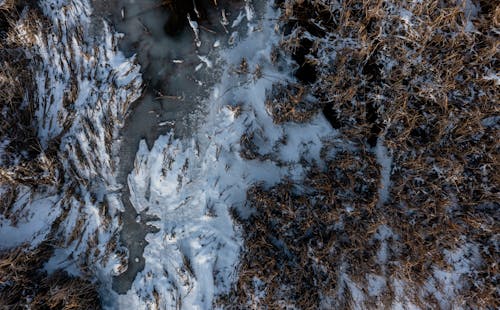 Top View of Frozen Water and Dry Grass 