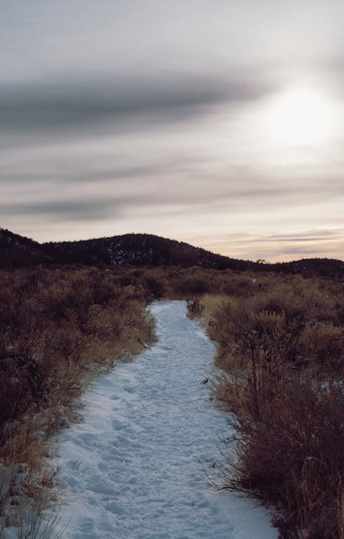 A Snowy Pathway on a Field with Dry Grass 