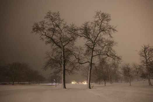 Serene winter scene with snow-covered field and bare trees against a night sky.