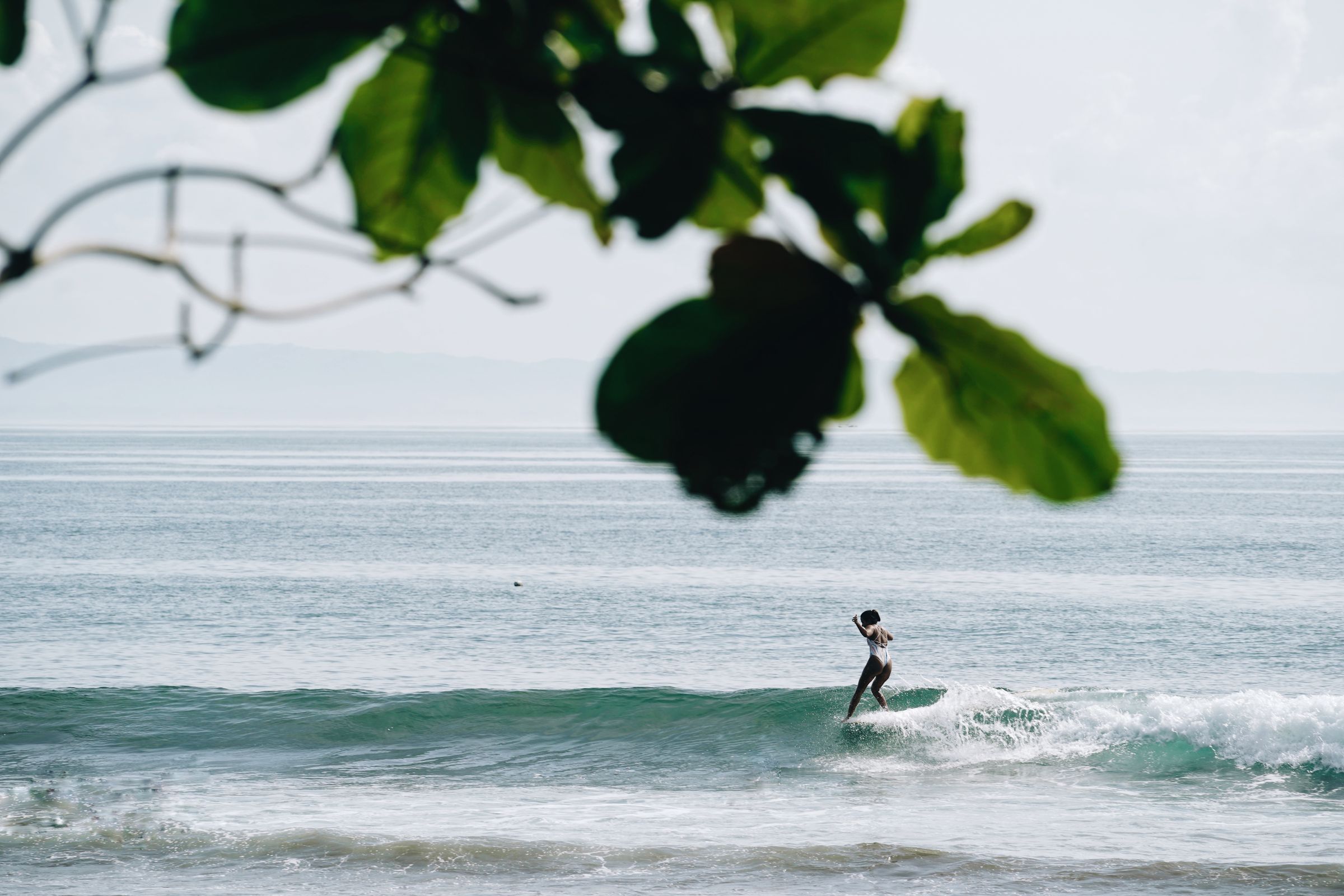 Cabarete surfen Dominicaanse Republiek