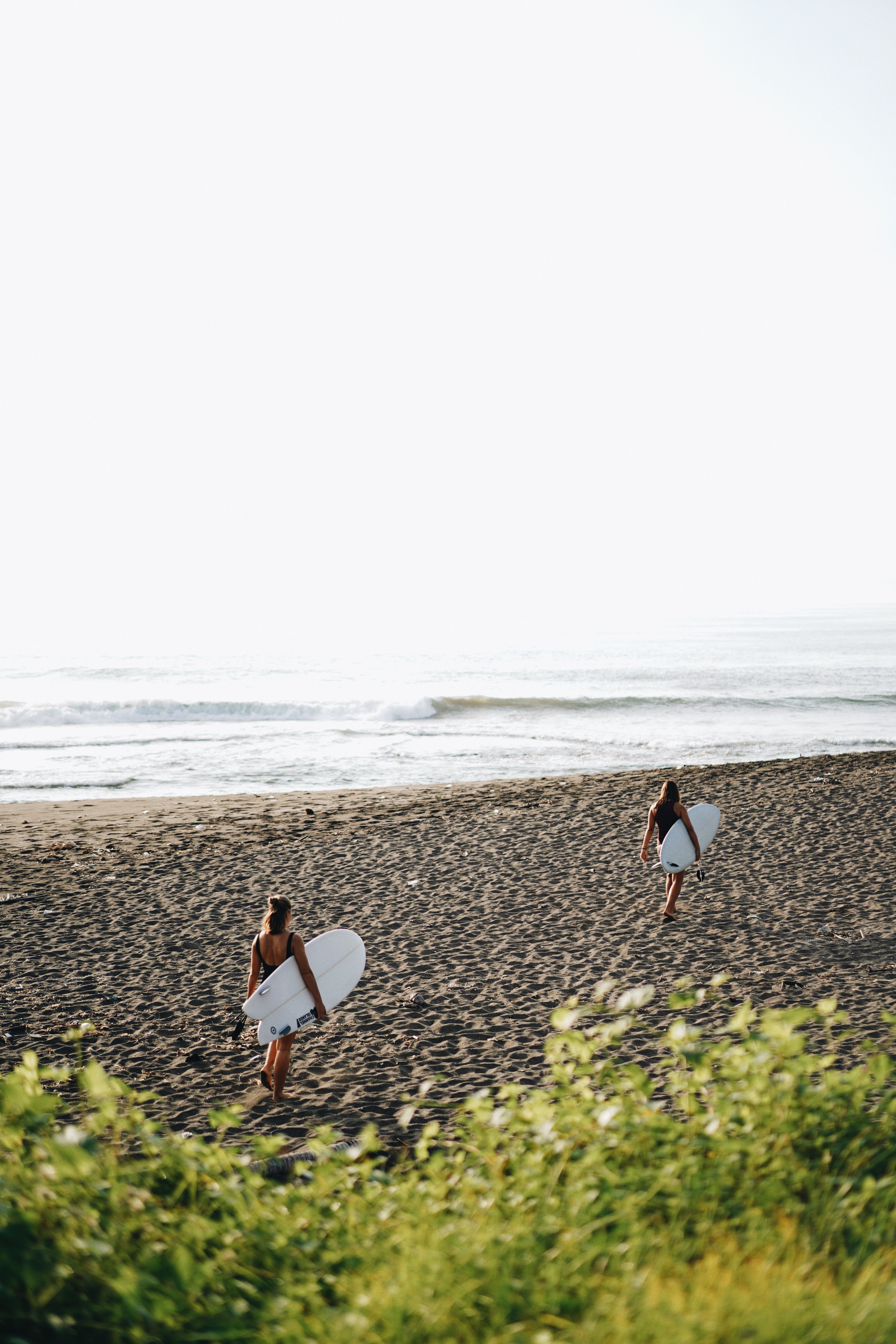 Women Holding Surfing Desks on a Beach · Free Stock Photo