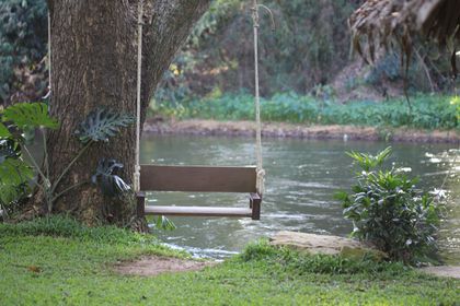 A wooden rope swing hanging from a big tree beside a river &mdash; wutthichai charoenburi on Pexels