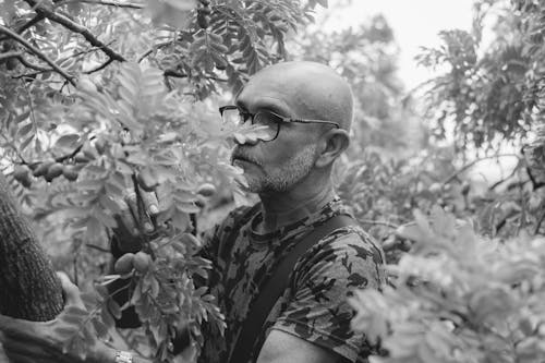 Bald Man Standing among Trees