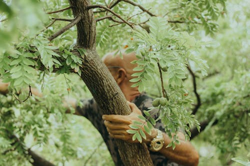Man Holding Tree Branch