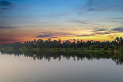 Beautiful sunset at riverside and flying birds