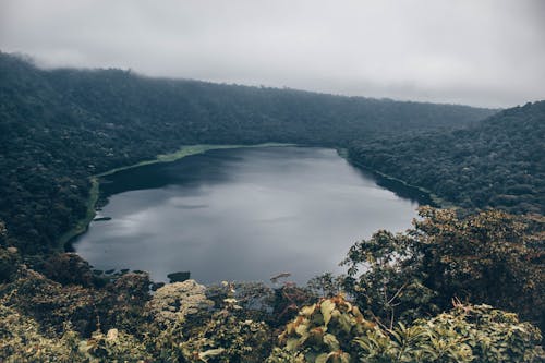 Foto stok gratis danau, hutan, kabut