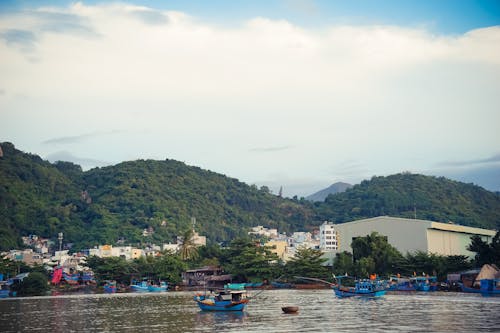 moutains, 景觀, 海灘 的 免費圖庫相片